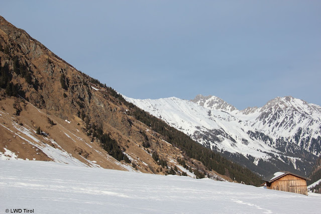In Sonnenhängen liegt gebietsweise besonders wenig Schnee. Nördliche Stubaier Alpen (Foto: 24.02.2022)
