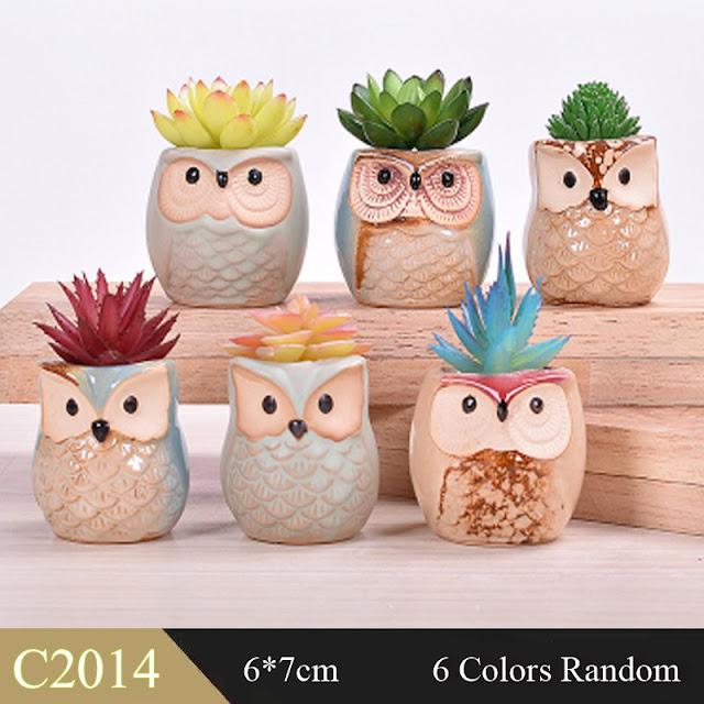 Cute owl succulent plant pots