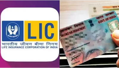 LIC IPO: Policyholders to update PAN immediately, deadline is February 28;  here's the easy way - GoogleKarle