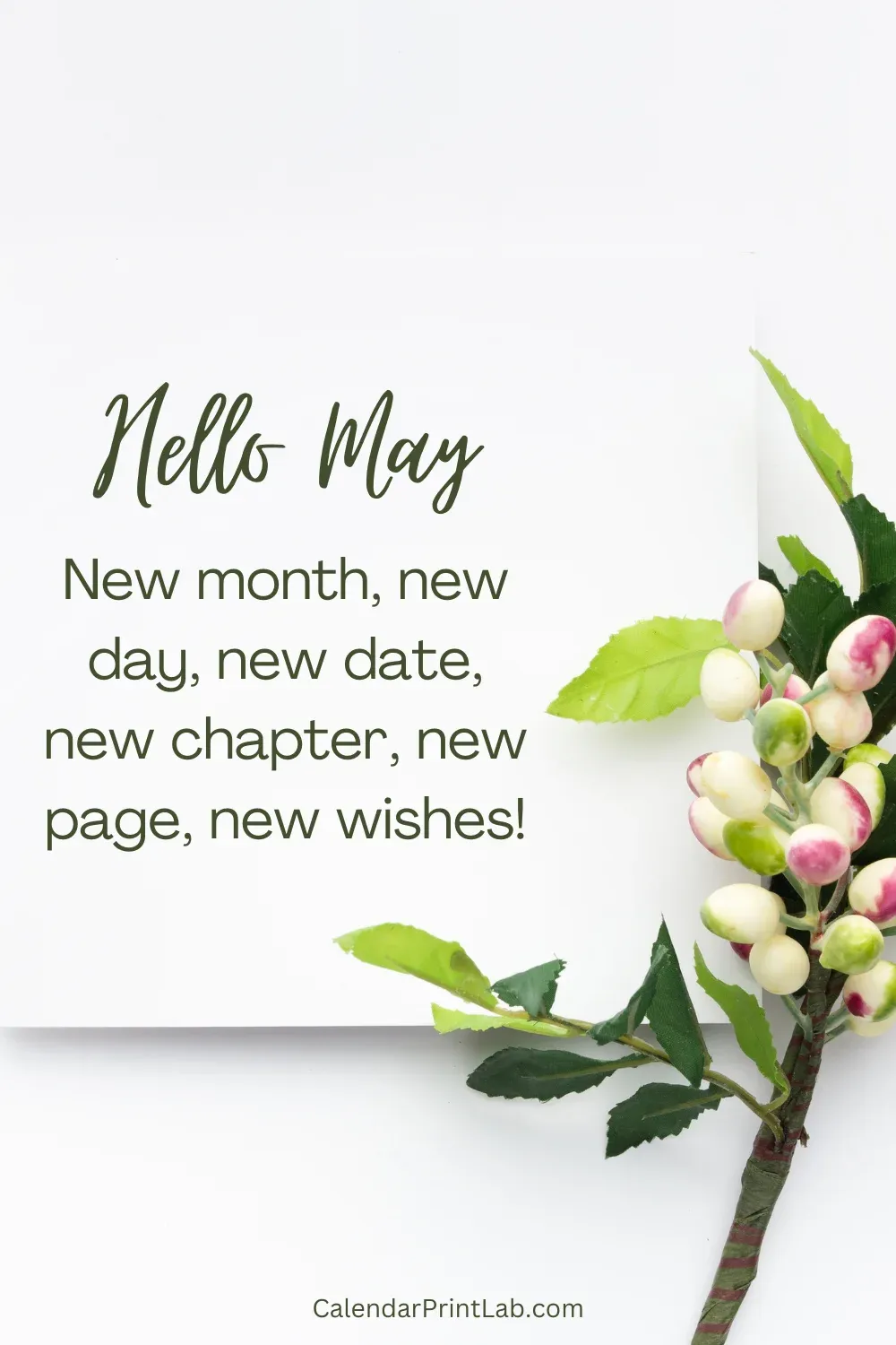 Hello May Quotes Image