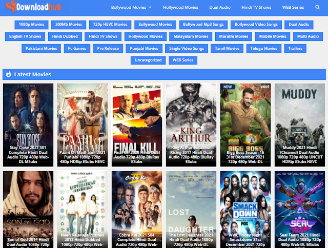 DownloadHub 2022 Full movie Download in Dual Audio 720p Website