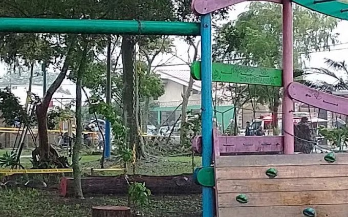 Costa Rica: Niño muere en Cartago tras caída de árbol 