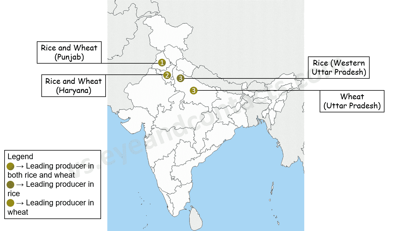 Map Pointing (Agriculture) a. bit