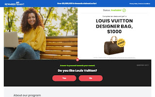 RZUSA - Louis Vuitton $1000 Designer Bag (USA)