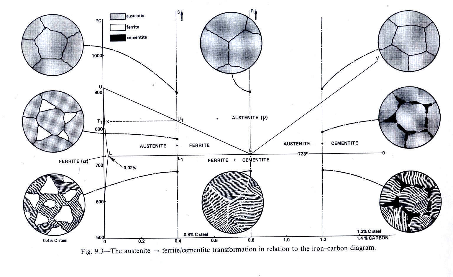 The Austenite to ferrite / cementite transformation in relation to Fe-C diagram