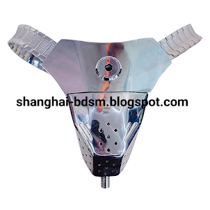 2024 Stainless Steel Chastity Belt Collection