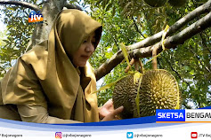 Menikmati Lezatnya Durian Lokal Klino Bojonegoro