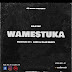 AUDIO | Kaje Double Killer - Wamestuka | Download