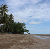 Pengertian Ekosistem Pantai
