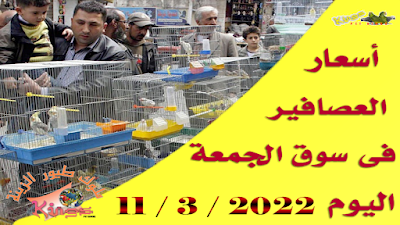 تقرير سوق الجمعة اليوم 11/3/2022