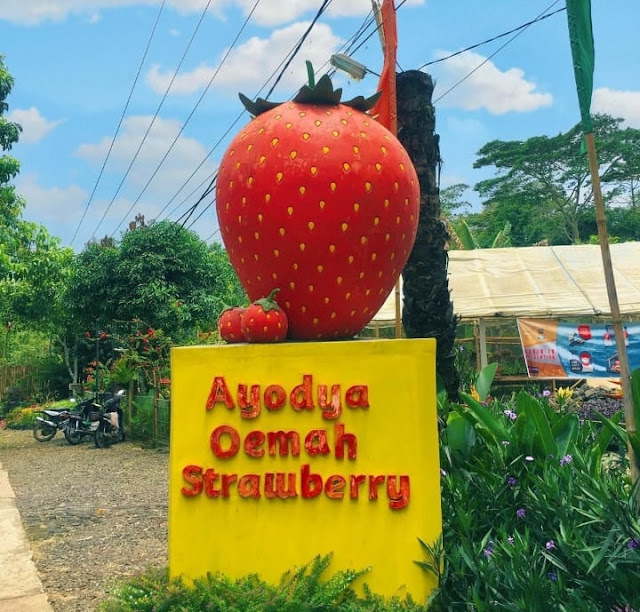 Ayodya Oemah Strawberry Bali
