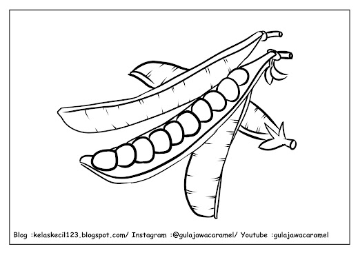 contoh lembar mewarnai tema sayuran untuk anak PAUD/TK/SD