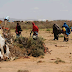 More than 2000 people displaced by Somalia’s drought: UN