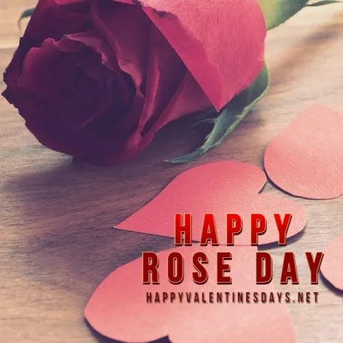 Happy Rose Day 2024 Images