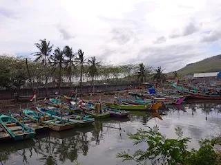 pantai cemara jember