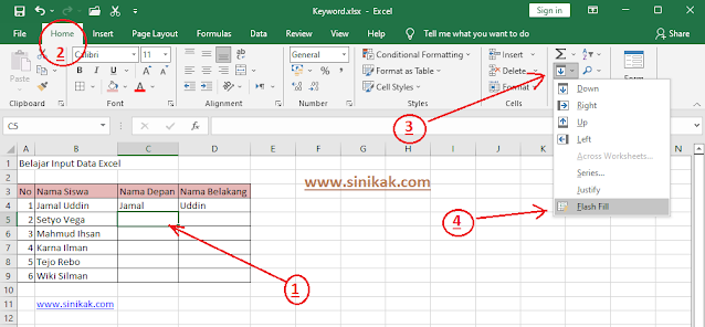 Input Data Excel Otomatis Dengan Flash Fill