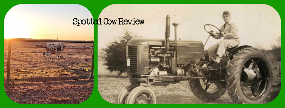 Spotted Cow Review