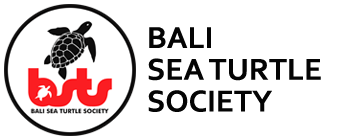 Bali Sea Turtle Society (BSTS) working with local communities