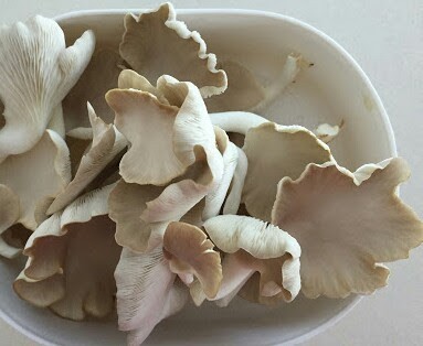 Mushroom export business in India |  Mushroom business | Biobritte mushrooms