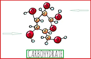 Fundamentals of biochemistry