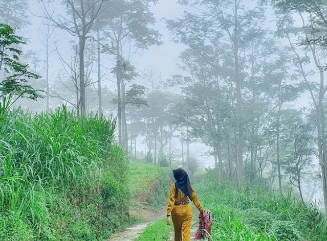 Gunung Gajah Telomoyo Semarang Harga Tiket Masuk