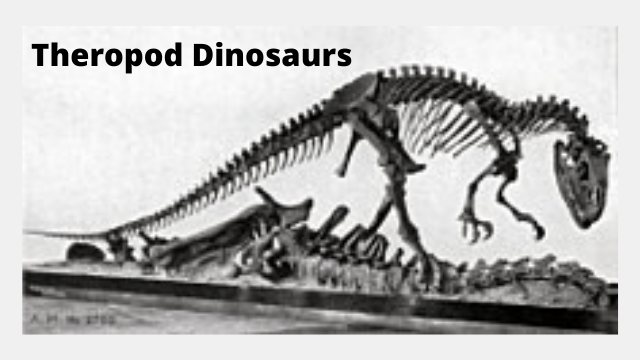 theropod-dinosaurs-embryo