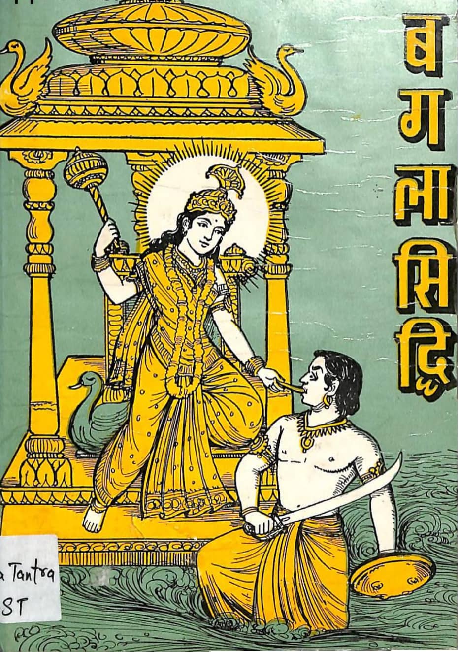 Baglamukhi-Siddhi-Hindi-Book-PDF
