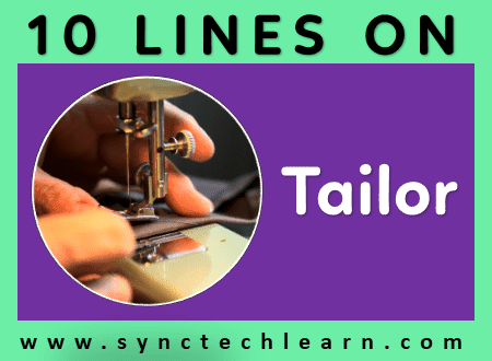 short essay on Tailor