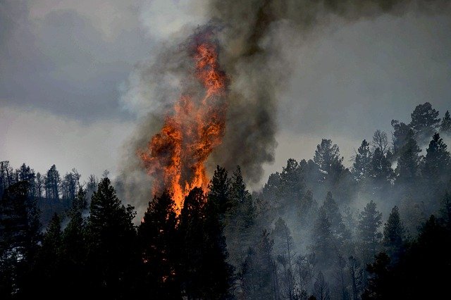 Colorado Fire already most destructive in state’s history in 2022