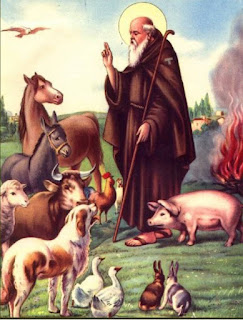 17 de Enero Día de San Antonio Abad, protector de los animales y día del rescatista animal