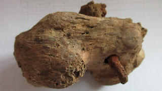 Ένα καρφί βρέθηκε στο οστό του αστραγάλου σε σκελετό που βρέθηκε κατά τη διάρκεια ανασκαφών σε ένα μικρό χωριό του Κέμπριτζσαϊρ.