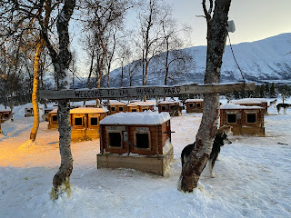 Breivikedet, Tromso area, dogsledding