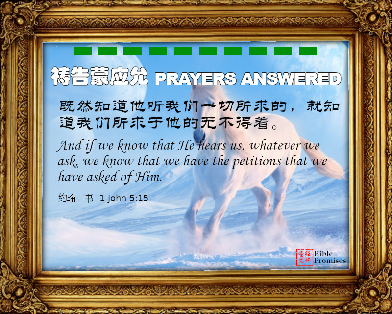 约翰一书 1 John 5:15 | Bible Promises