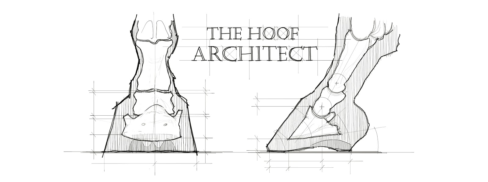 The Hoof Architect