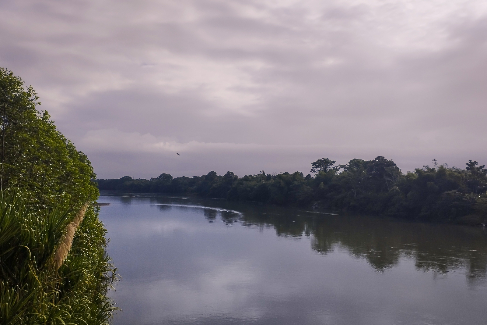 Panamá: Tras las águilas del Darién - Blogs de Panama - Día 1: Llegada a Boquete (1)