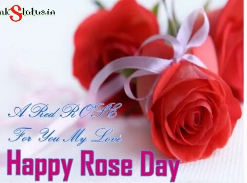 Happy Rose Day 2023 Quotes, Wishes