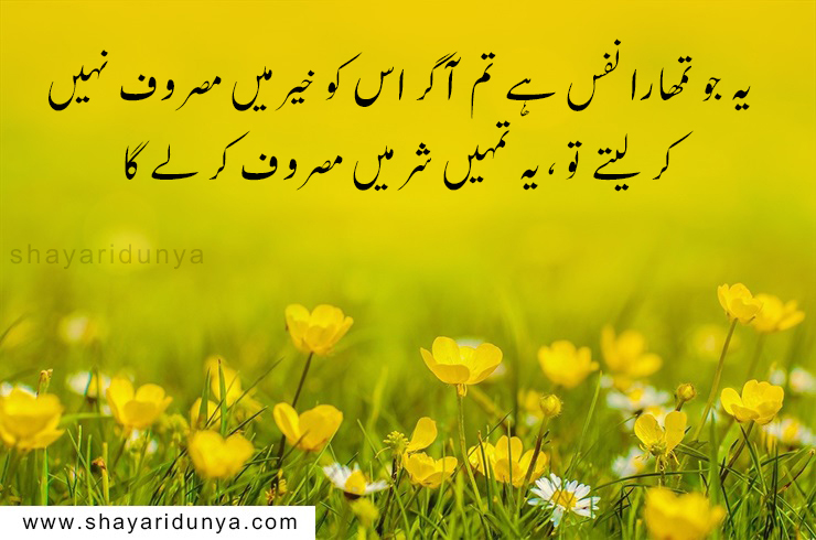 top 20 Best islamic quotes in urdu,islamic status in urdu,islamic quotes images,islamic quotes in urdu about life,islamic heart touching quotes