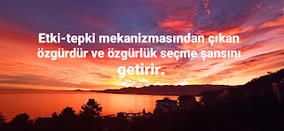 Resim