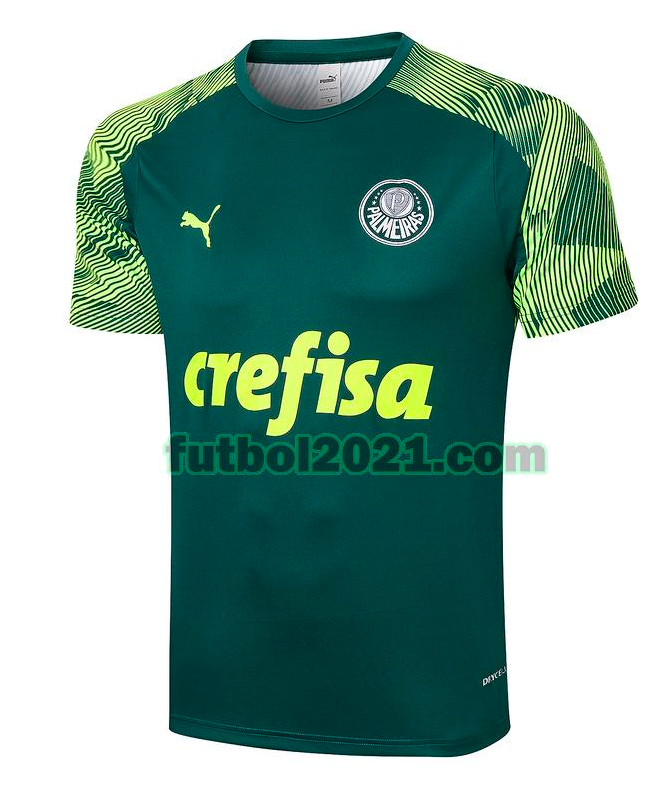 Camiseta Palmeiras 2020-21 Entrenamiento