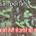 लौकी के बीज को जल्दी से उगाने का तरीका: bottle guard seeds grow fast method 