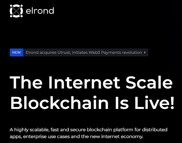 elrond blockchain