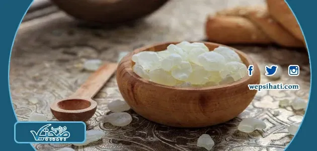 طريقة شرب عشبة المستكة للتنحيف