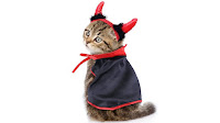 Disfraces de Halloween para gatos