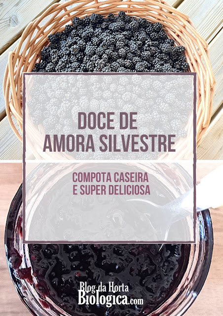 Receita de Doce de Amora Silvestre