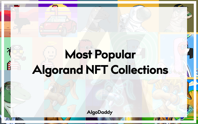 Top 5 Most Popular Algorand NFT collections