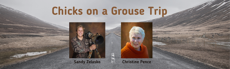 Chicks on a Grouse Trip