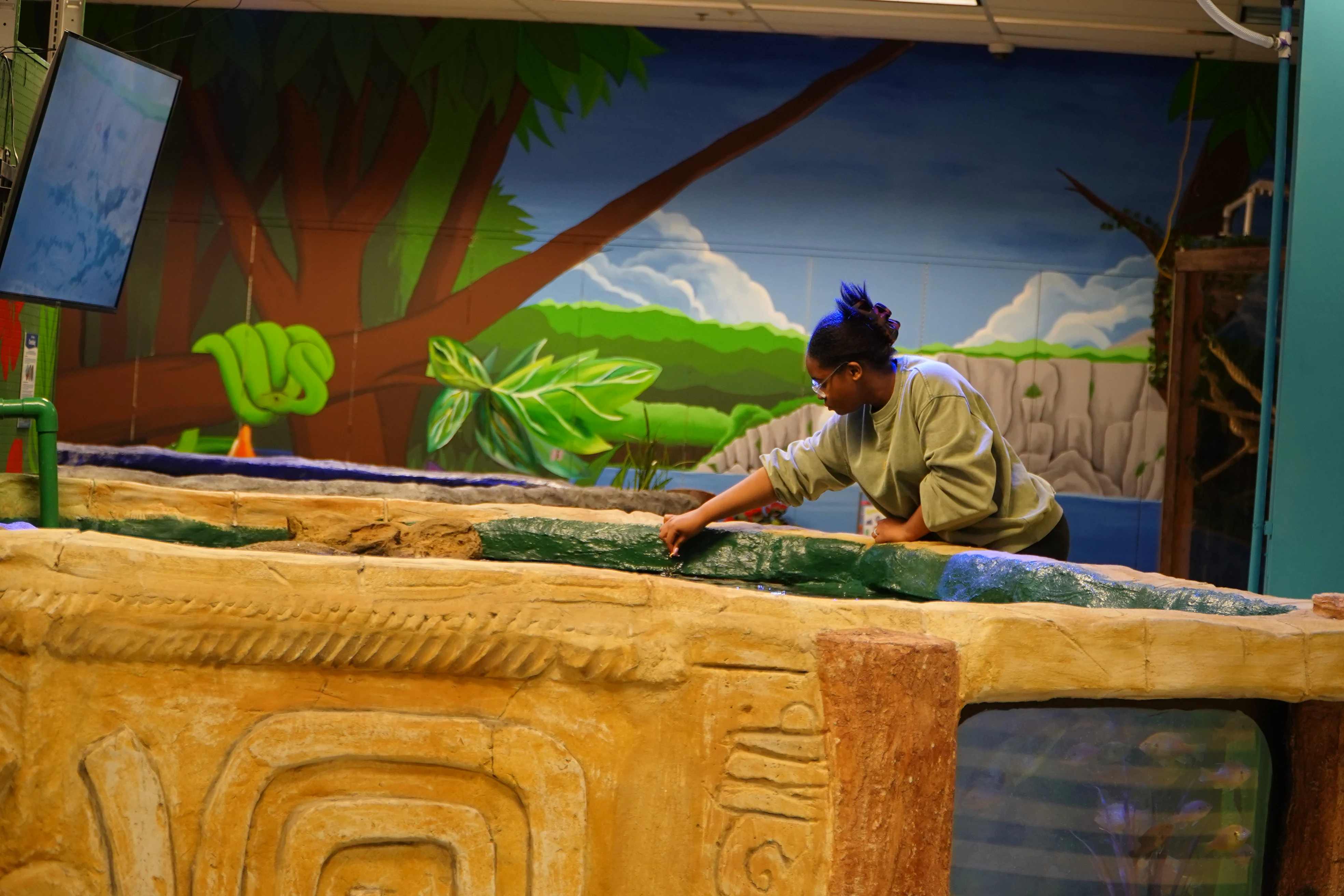 SeaQuest at Stonecrest Mall Review