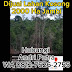 Dijual Lahan Kosong 2000 Ha Untuk Tanam Sawit Jambi