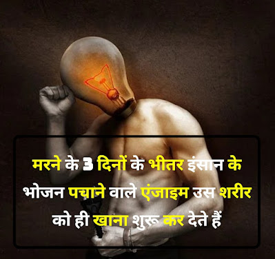 Human Body Amazing facts In Hindi