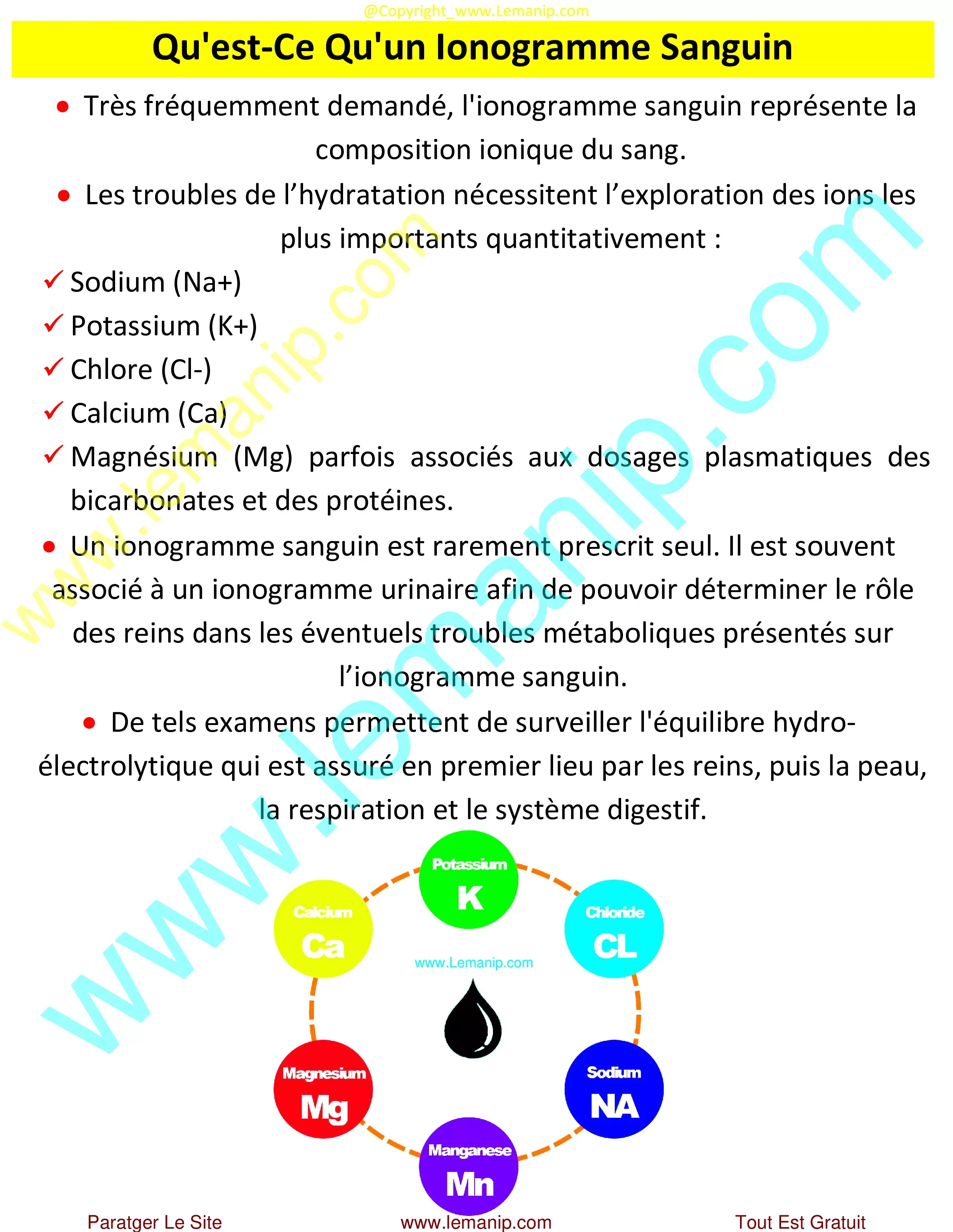 Qu'est-Ce Qu'un Ionogramme Sanguin